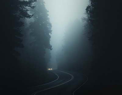 Кишти зериплёнкавии пунбадона аз усулҳои муосири агротехникӣ ба ҳисоб меравад