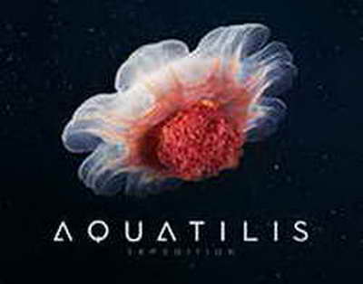 Ашықтық және жоғары қатысу: Өзбекстан ОСК төрағасы референдумның өту барысын бағалады